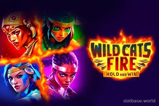 Wild Cats Fire — Kendoo