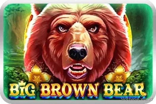 Big Brown Bear — UU Slots